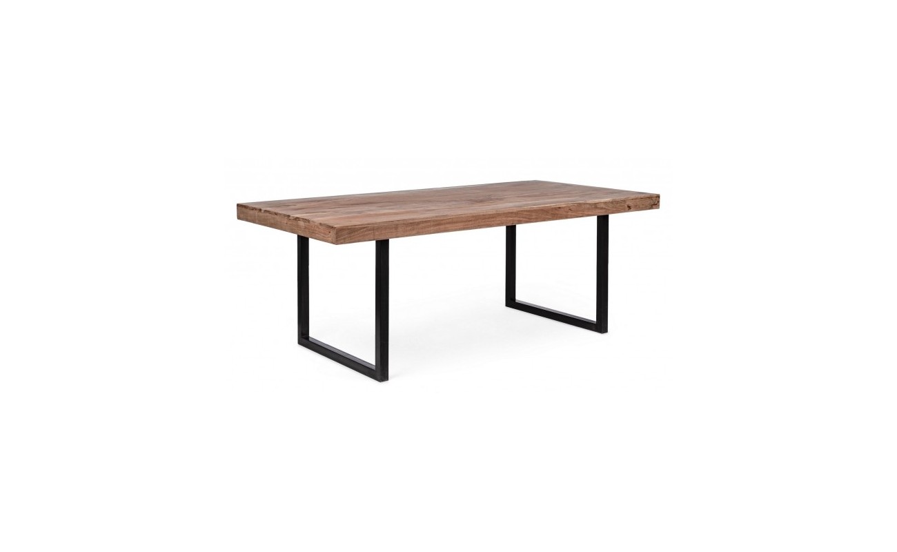 MESA EGON 200X100