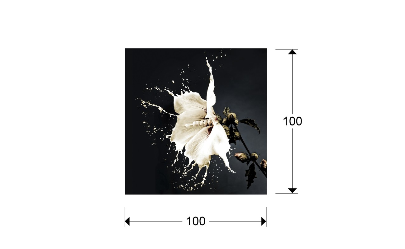 FOTO ·SPLASH· 100x100
