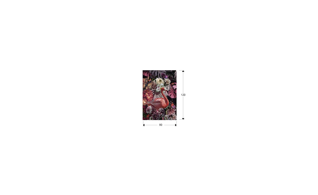 FLAMENCO- FOTOGRAFIA 80x120